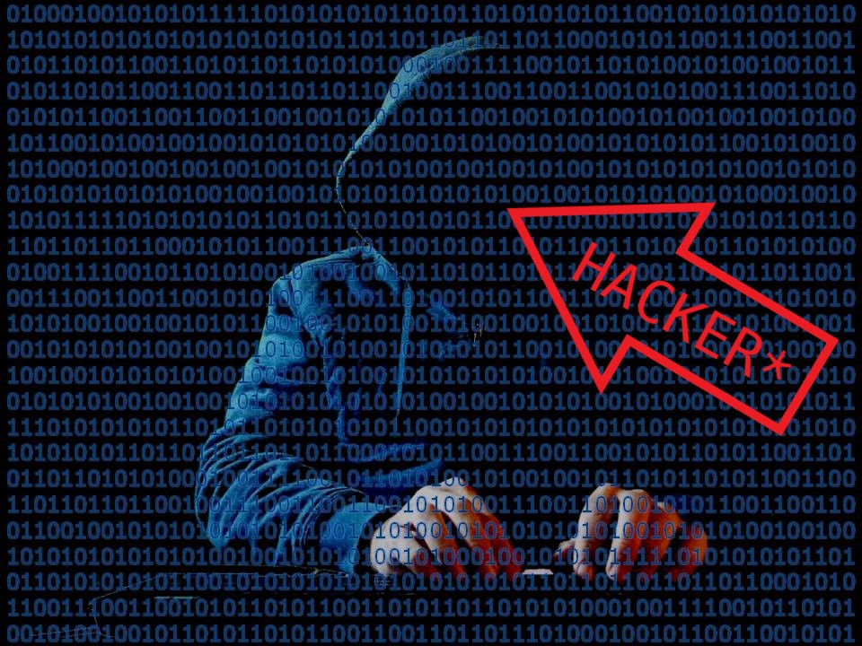 Hacker