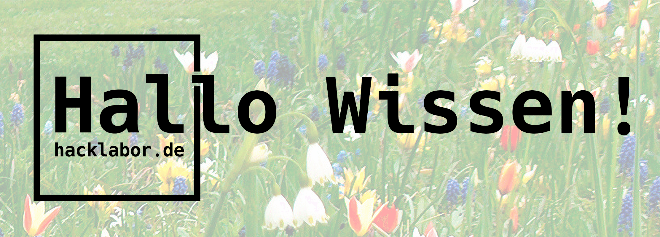 Hallo Wissen